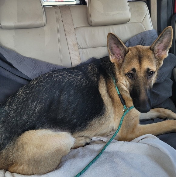 LIVE NOW ! - Picture 12 of 17